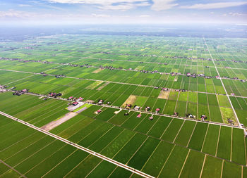 Beautiful aerial view of green paddy field