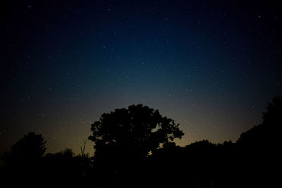 Low angle view of silhouette trees against sky at night