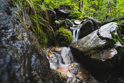 Water flowing through rocks in forest