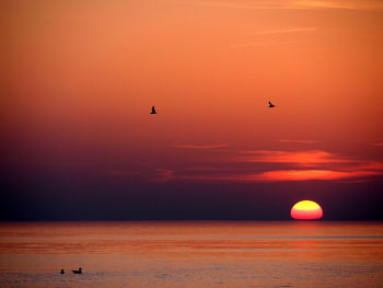 Scenic view of sea against orange sky, sylt