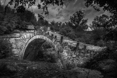 Arch bridge in forest against sky