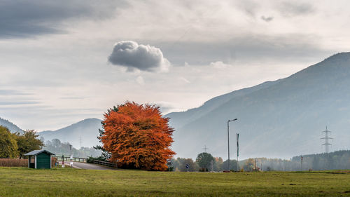 Scenic view of field against sky