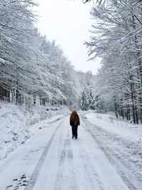 Rear view of person walking on snow covered road