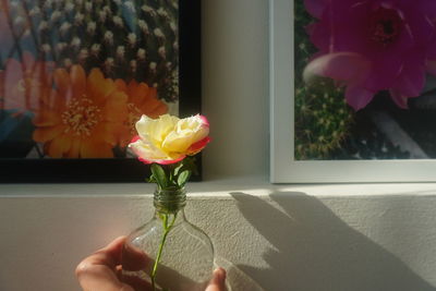 Close-up of hand holding flower bouquet