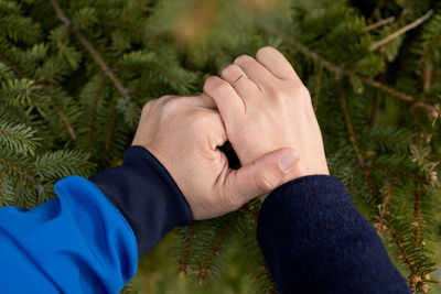 Close-up of man hand on plant