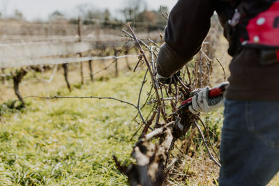 Low section of man working on field