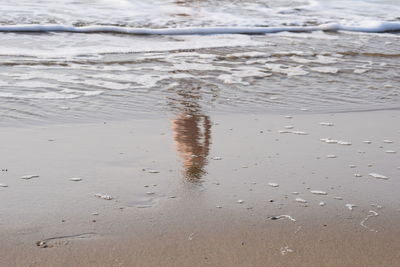 Close-up of sand on beach