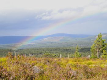 Scenic shot of rainbow over countryside landscape