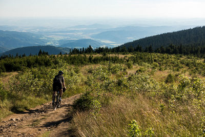 Rear view of woman cycling in forest