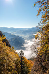 nature