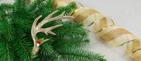 Close-up of christmas tree