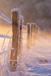 Close-up of icicles on field during winter