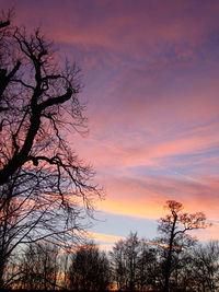 Low angle view of bare trees against sky at sunset