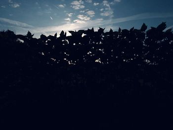 Low angle view of silhouette birds flying against sky