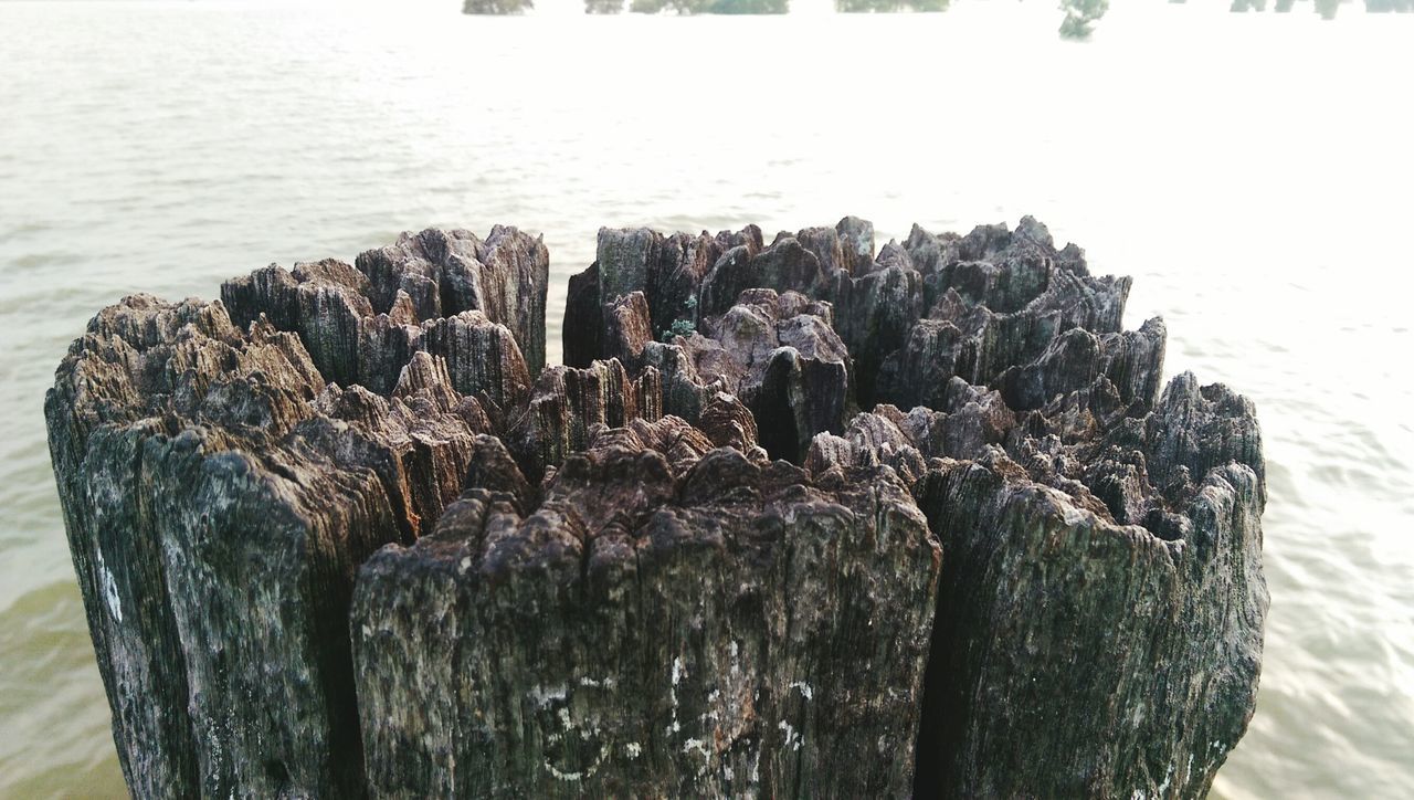 sea, water, nature, tranquility, wood - material, tranquil scene, beauty in nature, horizon over water, rock - object, beach, scenics, textured, wooden post, day, outdoors, close-up, rock formation, no people, shore, idyllic