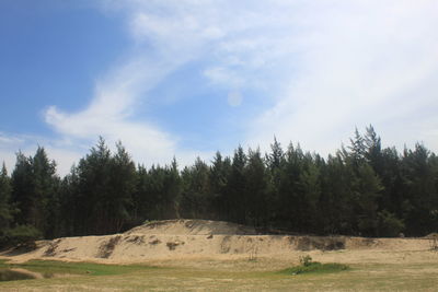 Scenic view of trees on field against sky