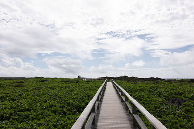 Bridge over the blue sky