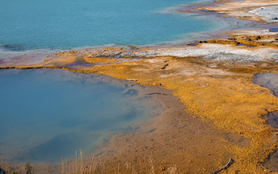 Close-up view of black opal pool amidst geothermal landscape at yellowstone park