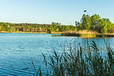 Scenic view of lake against clear sky