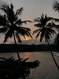 Silhouette palm tree by sea against sky at sunset