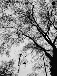 Low angle view of silhouette trees against sky