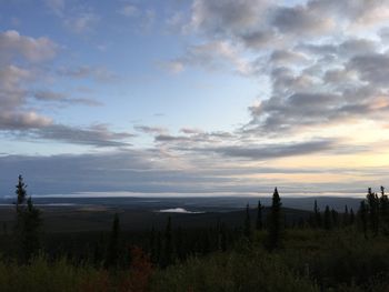 Scenic view of field against sky during sunset