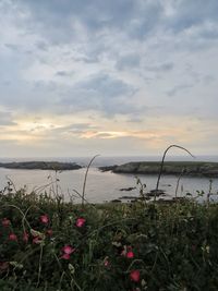 Scenic view of sea against sky during sunset