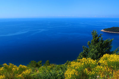 Scenic view of sea against blue sky