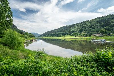 Scenic view of lake by trees against sky