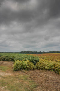 Scenic view of field against cloudy sky