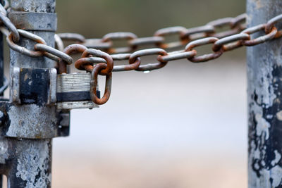 Close-up of rusty chain