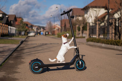 Low section of man riding push scooter on street