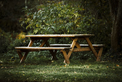 Empty bench in park