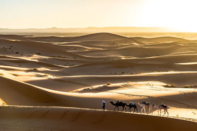People on sand dune in desert against sky