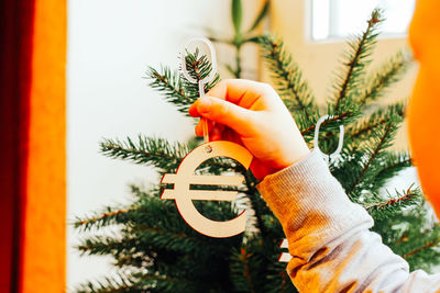 Cropped hand of woman holding plant