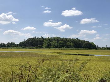 Scenic view of field against sky