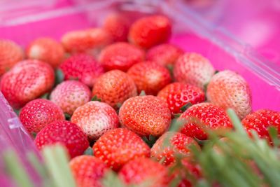 Close-up of strawberries