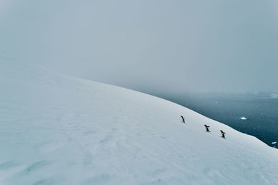 Scenic view of snow covered landscape