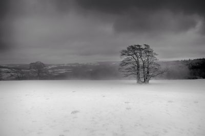 Scenic view of snow covered landscape