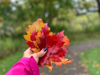 Close-up of woman hand holding maple leaf