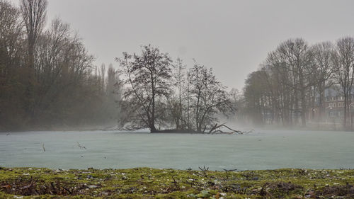 Scenic view of lake by trees against sky