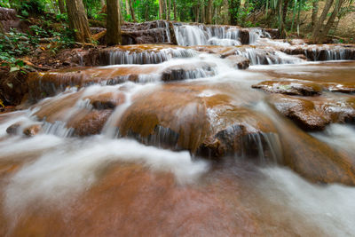 View of waterfall in forest