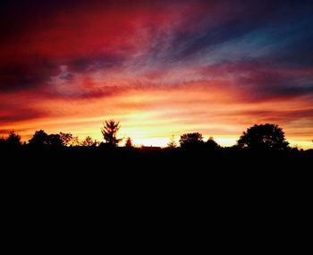 Silhouette of trees at sunset