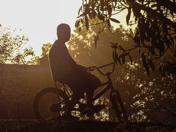 Man riding bicycle on tree