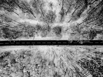 High angle view of railroad tracks amidst trees