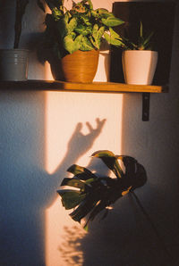 Shadow of a hand on the wall while sunset