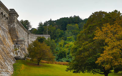 Trees and plants by building against sky during autumn