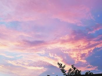 Low angle view of silhouette trees against sky during sunset