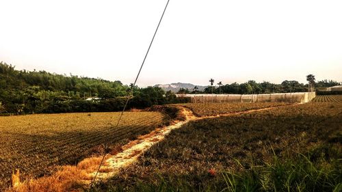 Trail on agricultural field against clear sky