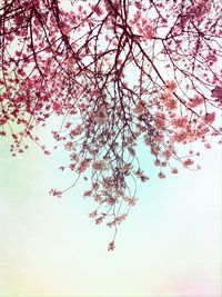 Low angle view of trees against sky